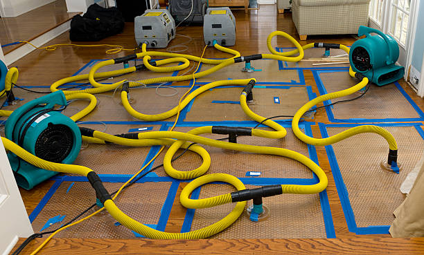 Professional Sewage Cleanup technician working in West Manchester, OH